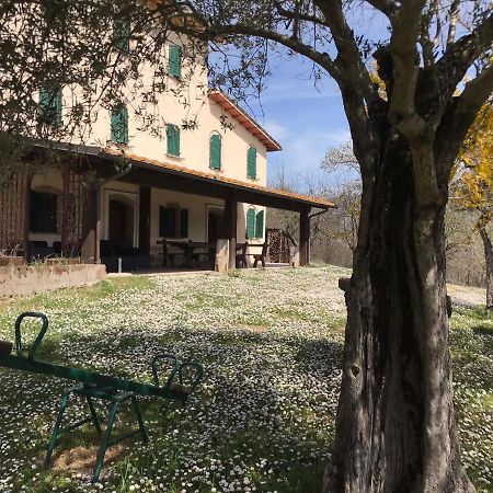 Pian D'Isola Bed & Breakfast Costacciaro Luaran gambar
